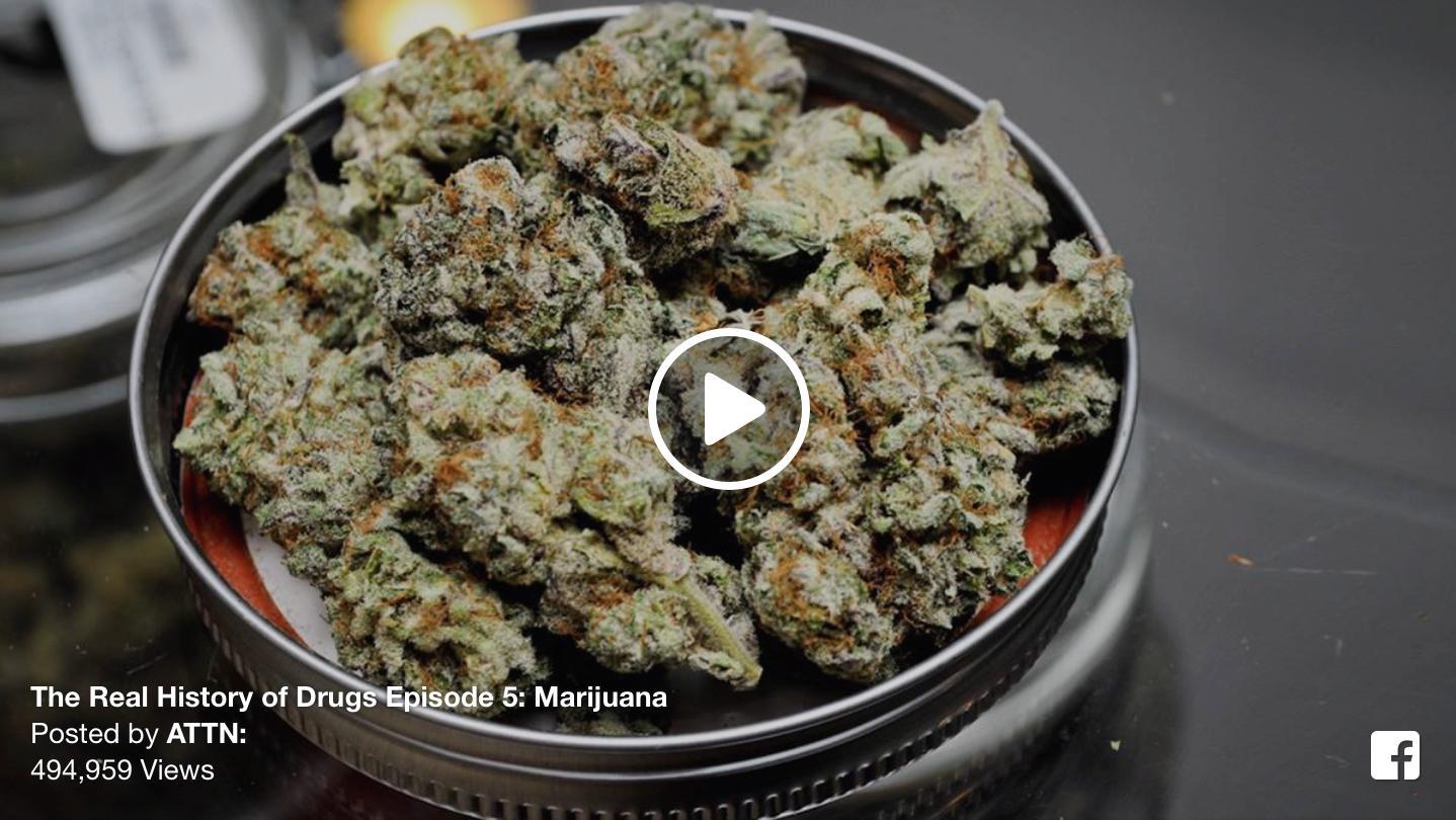 Why Is Pot Illegal [VIDEO]