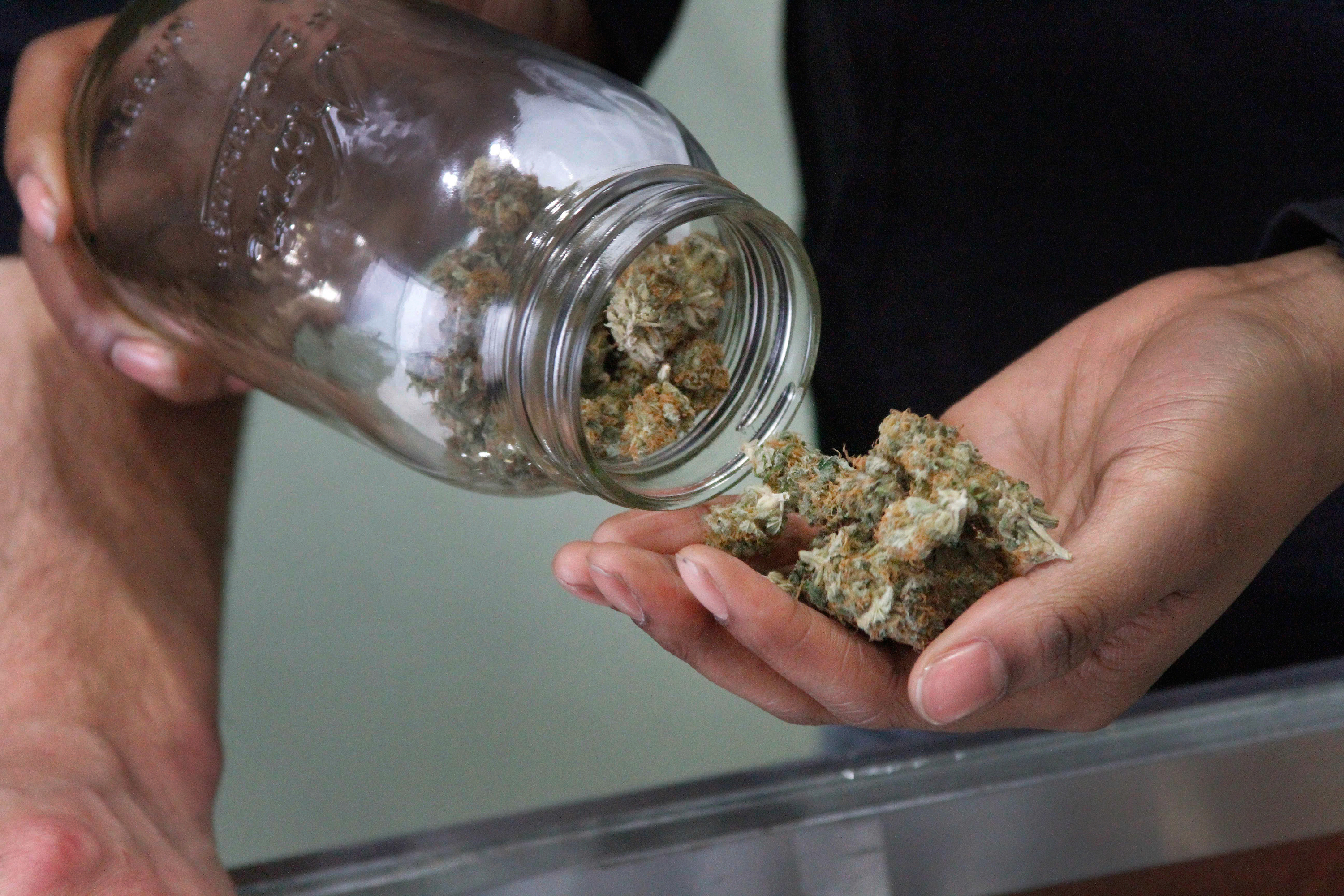 15 Marijuana Strains High In CBD (Cannabidiol)