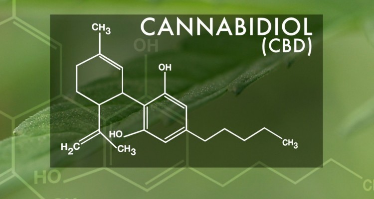 What You Need To Know About High CBD In Cannabis