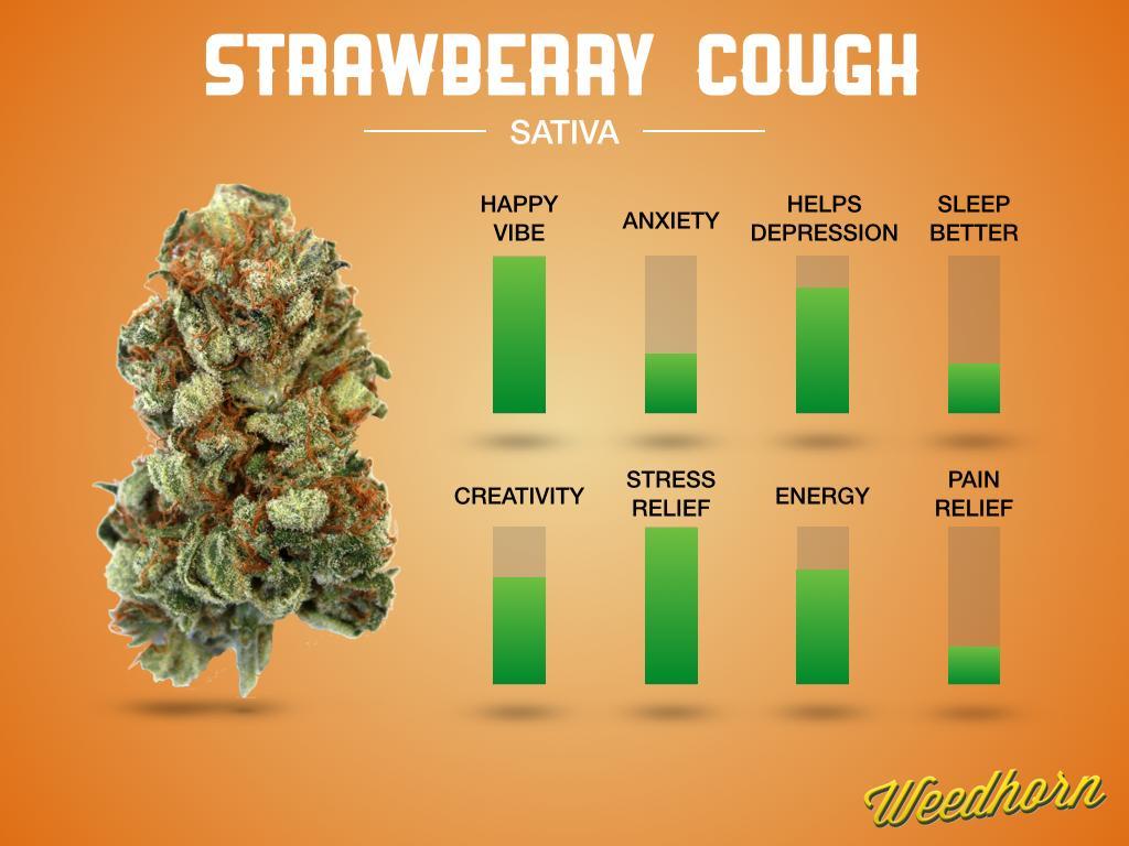 Strain Review: Strawberry Cough