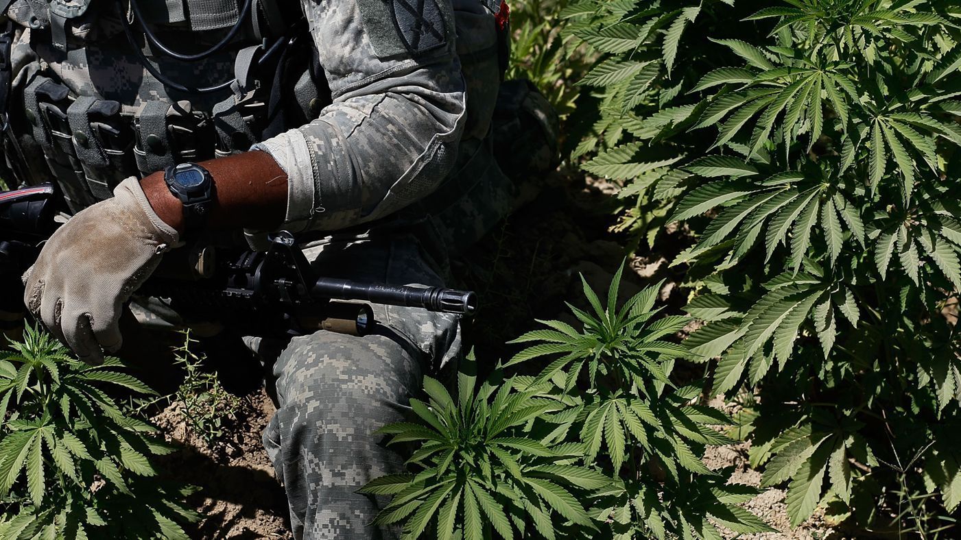 5 Things To Know About PTSD, Weed and Veterans