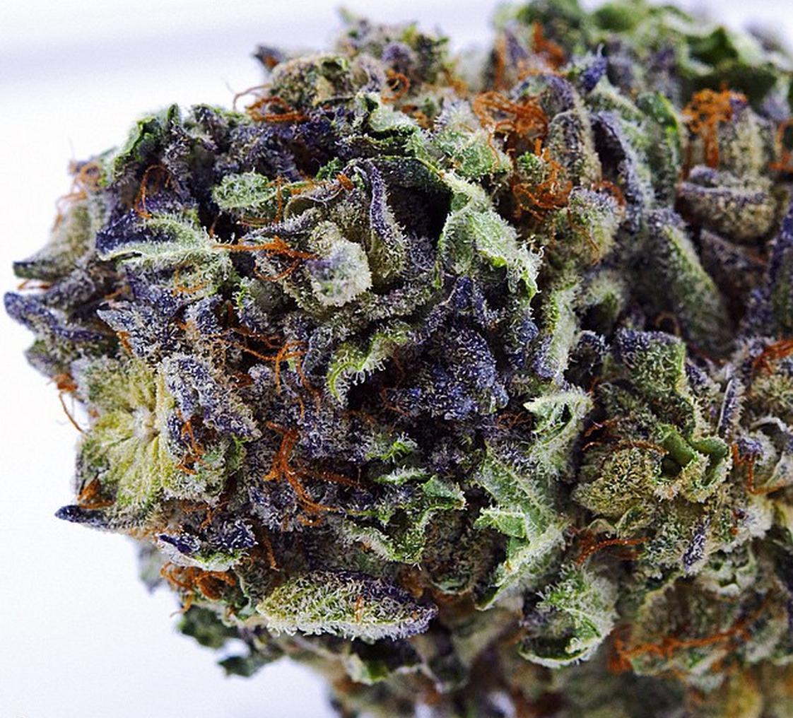 The 5 Strongest Marijuana Strains In The World