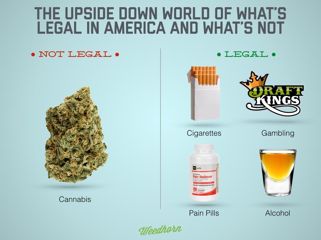 What's Legal And What's Not In Upside Down America