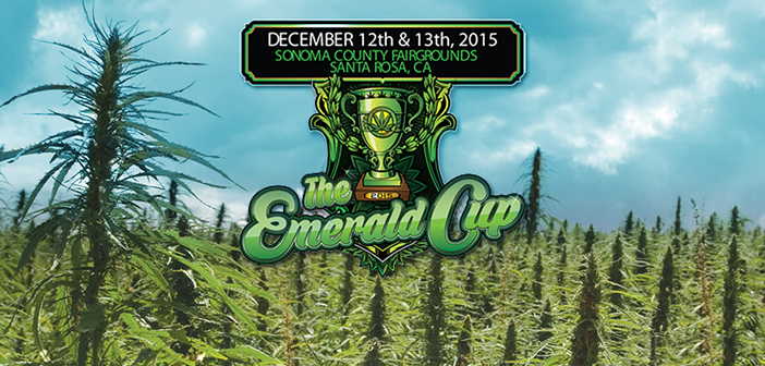 Announcing The Winner Of This Year's Emerald Cup Festival