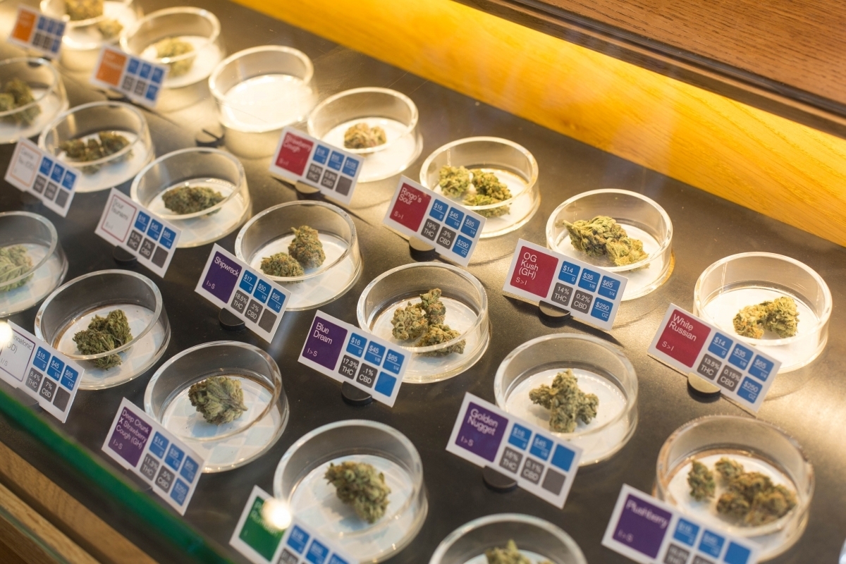The Honeymoon Is Over, Oregonians—Taxes Kick In On Pot Sales Starting Jan. 4th