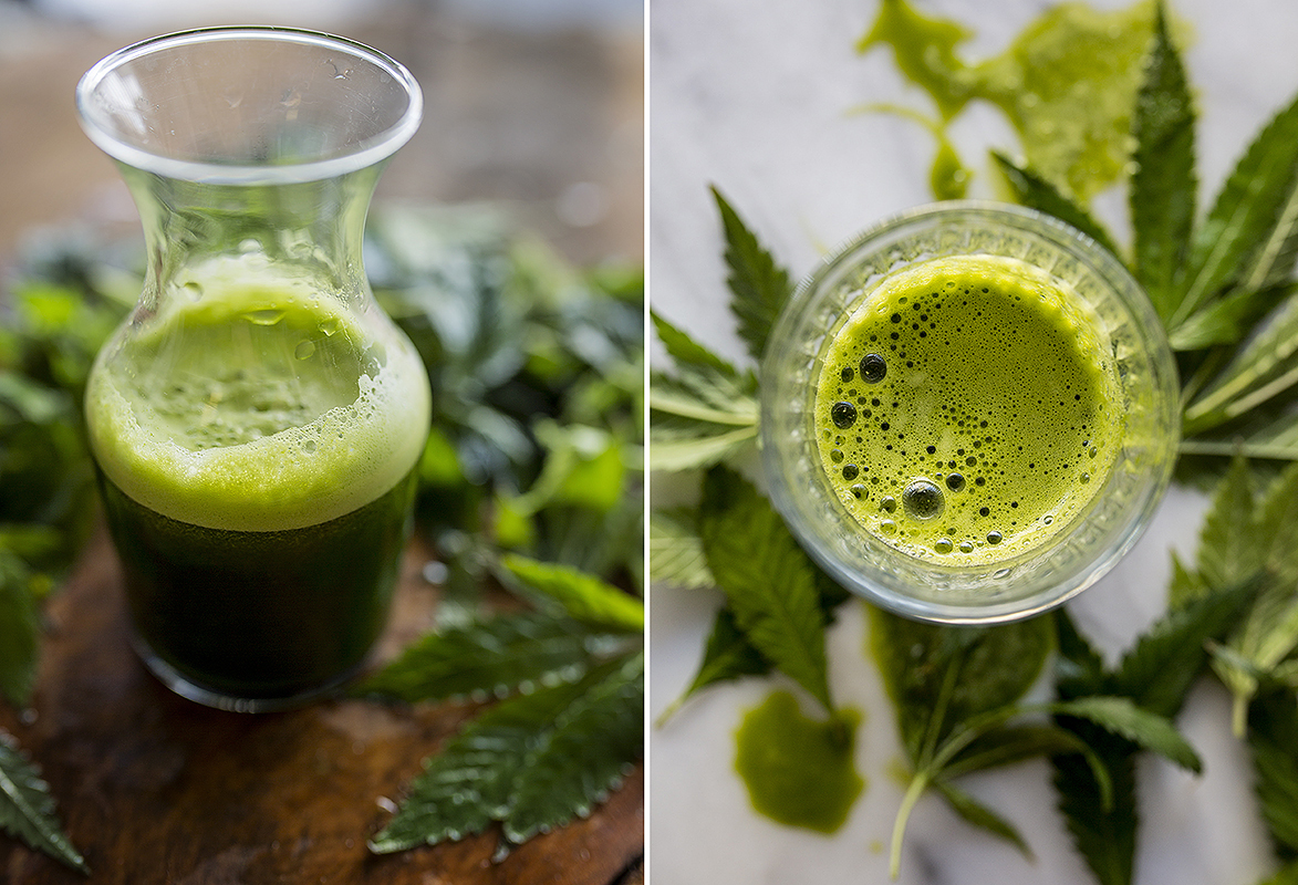 Simple Weedgrass Shot Recipe