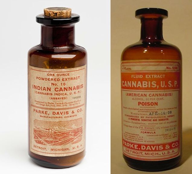 12 Vintage Cannabis Medicine Bottles