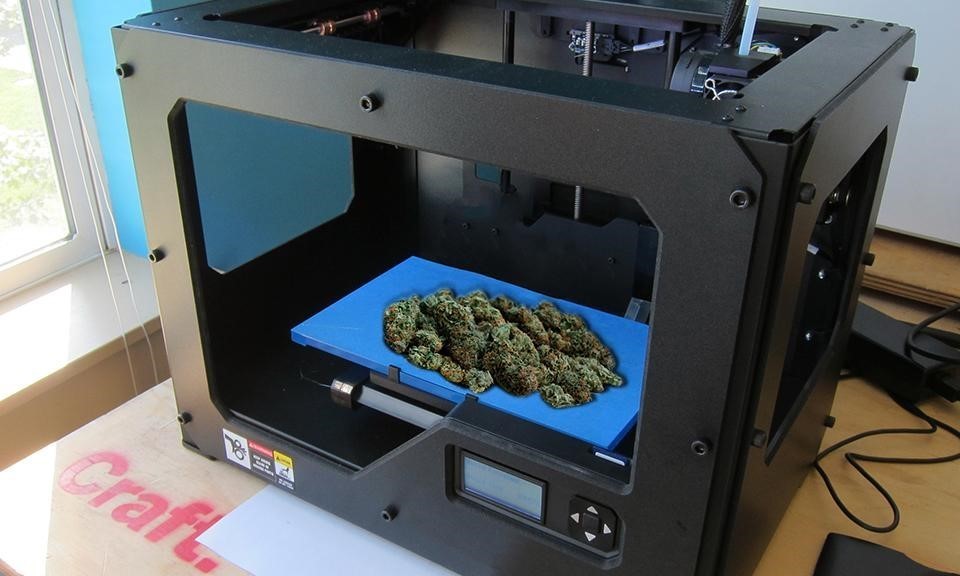 5 Types of 3D Printers That Can Print Weed For You