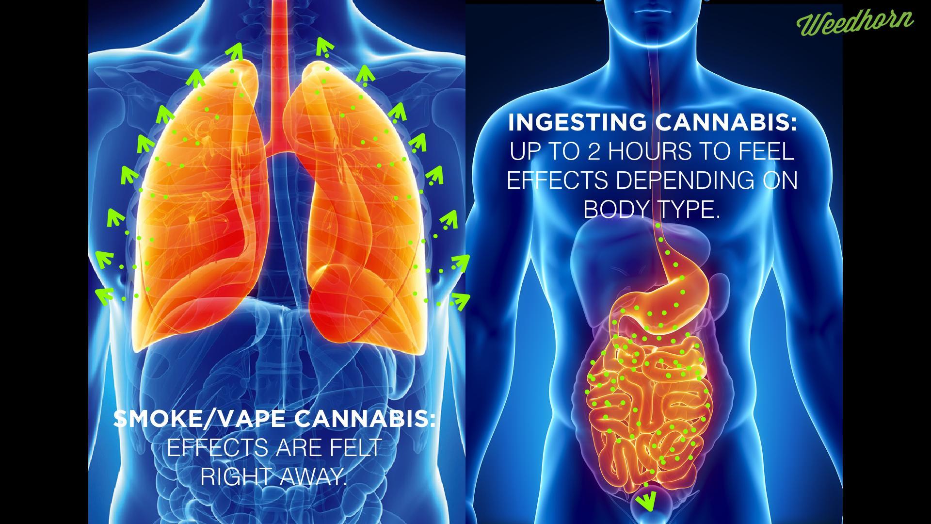 The Difference Between Inhaling and Ingesting Cannabis